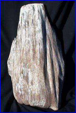 SiS 23 BURMESE Petrified Palm Wood Sculpture Myanmar Fossil Palmoxylon Art