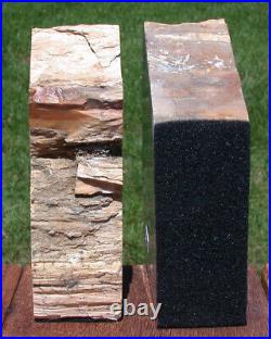 SiS ANCIENT FOSSIL SEQUOIA 6+ lb. Petrified Wood Bookends Ashwood Oregon
