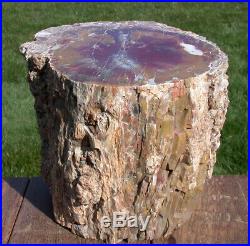 SiS BEAUTIFUL 24 lb. ARIZONA RAINBOW Petrified Wood Log AS GOOD AS THEY GET