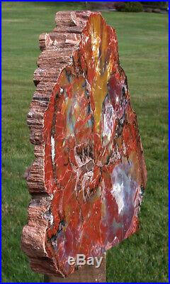 SiS BRILLIANT 18# ARIZONA Petrified Wood Display Mantel Piece Natural Sculpture