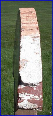 SiS BRILLIANT 26# ARIZONA Petrified Wood Display Mantel Piece Natural Sculpture