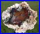 SiS_EXPLODING_COLOR_8_Translucent_Blue_Hubbard_Basin_Petrified_Wood_Round_01_tent