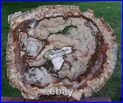 SiS EXQUISITE 14 Madagascar Petrified Wood Round PERFECT SLAB
