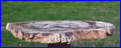 SiS EXQUISITE 14 Madagascar Petrified Wood Round PERFECT SLAB