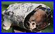 SiS_EXQUISITE_3lb_Parnell_Canyon_Petrified_BEECH_Wood_LOG_VERY_RARE_PERFECT_01_jxef