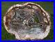 SiS_EXQUISITE_COLOR_12_Madagascar_Petrified_Wood_Round_Crystal_Green_More_01_mh