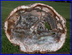 SiS EXQUISITE COLOR 12 Madagascar Petrified Wood Round -Crystal, Green & More