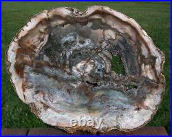 SiS EXQUISITE COLOR 12 Madagascar Petrified Wood Round -Crystal, Green & More