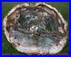 SiS_EXQUISITE_COLOR_12_Madagascar_Petrified_Wood_Round_Crystal_Green_More_01_wd