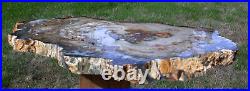 SiS EXTRAORDINARY 15 Hubbard Basin Petrified Wood Round One of our Biggest
