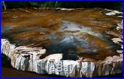 SiS FABULOUS GIANT 19 Hubbard Basin Petrified Wood Round MY BIGGEST SLAB