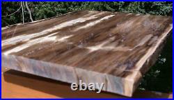 SiS GIANT 15+ VERY KNOTTY Rip Cut Petrified Wood Plank McDermitt, Oregon