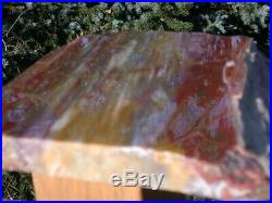 SiS GLORIOUS 12 Arizona Rainbow Petrified Wood Slab STUNNING RIP CUT PLANK