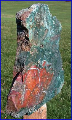 SiS GLORIOUS 16 lb. GREEN & RED Hampton Butte Oregon Petrified Wood Stand-up