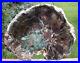 SiS_GORGEOUS_10_GREEN_HEART_African_Woodworthia_Petrified_Wood_CRYSTAL_GEODE_01_inr