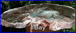 SiS GORGEOUS 10+ GREEN HEART African Woodworthia Petrified Wood CRYSTAL GEODE