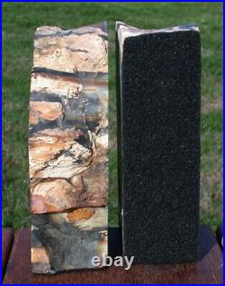SiS GORGEOUS BLUE Hubbard Basin Petrified Wood Bookends BREATHTAKING FOSSIL