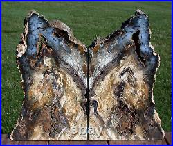 SiS GYNORMOUS 18+ lb. Hubbard Basin Petrified Wood Bookends MY BEST