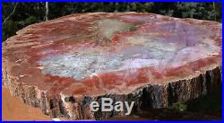 SiS HUGE PASTEL RAINBOW 18 Arizona Petrified Wood Conifer Round TABLE TOP
