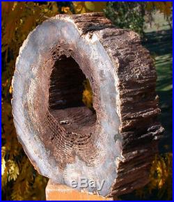SiS INCREDIBLE 10 lb. HOLLOW LOG Petrified Wood Sculpture McDermitt, OR