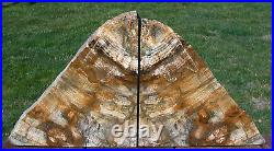 SiS INCREDIBLE 14 lb. Petrified Wood Bookends STUNNING Fossil Oak