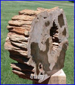 SiS INCREDIBLE 5.2 lb. HOLLOW LOG Petrified Wood Sculpture McDermitt, OR