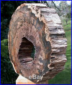 SiS INCREDIBLE 7.6 lb. HOLLOW LOG Petrified Wood Sculpture McDermitt, OR