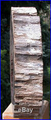 SiS INCREDIBLE 7.6 lb. HOLLOW LOG Petrified Wood Sculpture McDermitt, OR