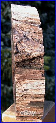 SiS INCREDIBLE 7+ lb. HOLLOW LOG Petrified Wood Sculpture McDermitt, OR