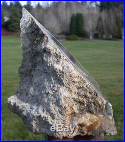 SiS INCREDIBLE Blue Forest Petrified Wood Log Sculpture THIS ONE HAS IT ALL