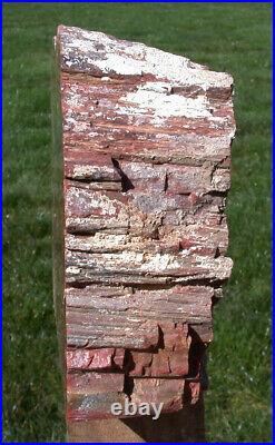 SiS LARGE 11+ lb ARIZONA RAINBOW Petrified Wood Mantel Piece Natural Sculpture