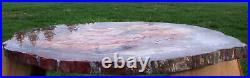 SiS MAGNIFICENT 32 x 23 Petrified Wood Slab PERFECT for Coffee Table Top