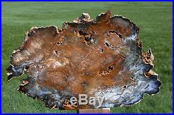 SiS MASSIVE 12 lb. SCULPTURE Hubbard Basin Petrified Wood Polished Log