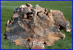SiS MASSIVE 12 lb. SCULPTURE Hubbard Basin Petrified Wood Polished Log