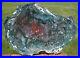 SiS_MASSIVE_20_Green_Red_White_Hampton_Butte_Petrified_Wood_Round_01_yjr
