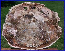 SiS MASSIVE Wood Toned Hues 17 Madagascar Petrified Wood Slab -Gorgeous Round