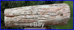 SiS MY BEST QUALITY 7.7 lb. Petrified Wood Log Fencepost Perfect Fossil
