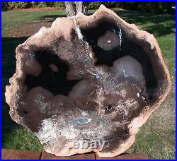 SiS MY FINEST 16 Petrified Wood Round Sweet Home Hardwood Beck Collection