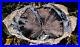 SiS_MY_FINEST_Large_8_Blue_Forest_Petrified_Wood_Round_SUPER_BLUE_AGATE_01_gdrw
