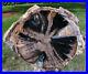 SiS_MY_FINEST_Large_8_Blue_Forest_Petrified_Wood_Round_SUPER_BLUE_AGATE_01_kb