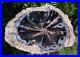 SiS_MY_FINEST_Large_8_Blue_Forest_Petrified_Wood_Round_SUPER_BLUE_AGATE_01_vnt