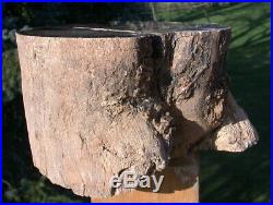 SiS MY VERY BEST 10+ lb. Wyoming Crazy Horse Petrified Wood Log