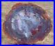 SiS_PURPLE_BLUE_GRAY_15_Arizona_Petrified_Wood_Conifer_Round_with_AGATE_GEODE_01_wce