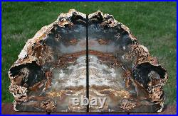 SiS RICH & COLORFUL Hubbard Basin Petrified Wood Bookends BREATHTAKING
