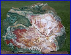 SiS UNUSUAL 13 Green & White Hampton Butte Petrified Wood & Agate Cast Slab