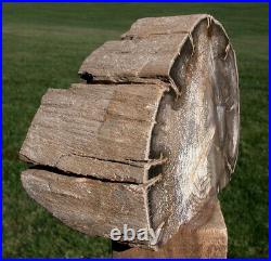 SiS Ultra-Rare 4 lb BURMESE Petrified Wood Log from MYANMAR Perfect FOSSIL