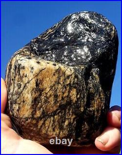 Sierra Nevada Mountains petrified wood rough Beautiful Material With Rare Color