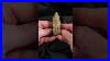 Snakeskin_Petrified_Wood_Fossil_Rockhounding_Petrifiedwood_01_hpk