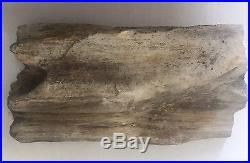 South Carolina 7lb+ Petrified Wood Log Fossil With Rock Crystal Quartz Vein