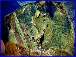 Specific Gravity 3.22 Natural Jade Replacement Agatized Wood Green, Blue ect